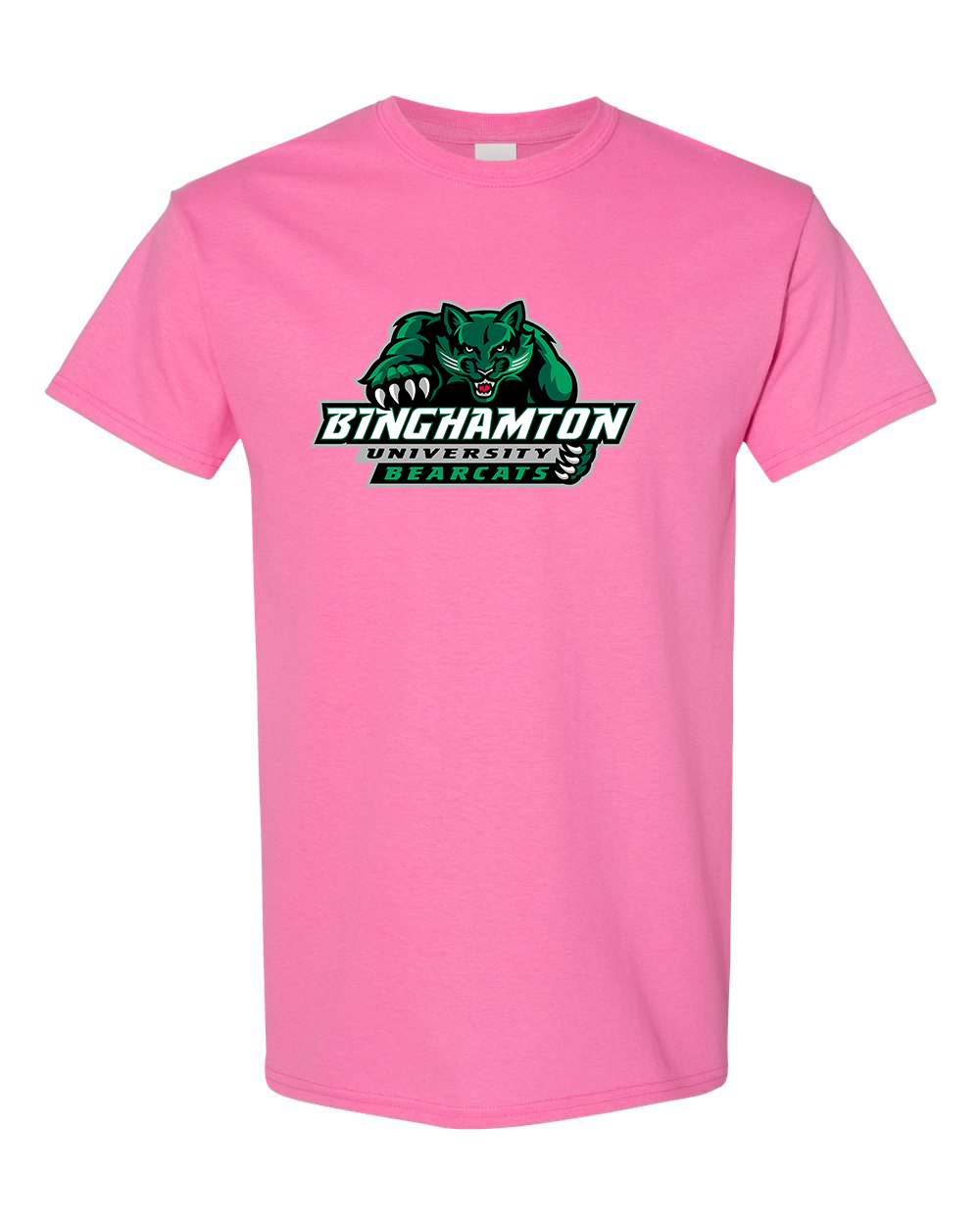 Men's Binghamton Bearcats Gildan Heavy Cotton T-Shirt