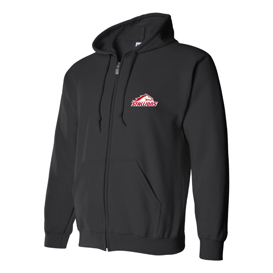 Men's Birmingham Stallions Logo Zipper Hoodie