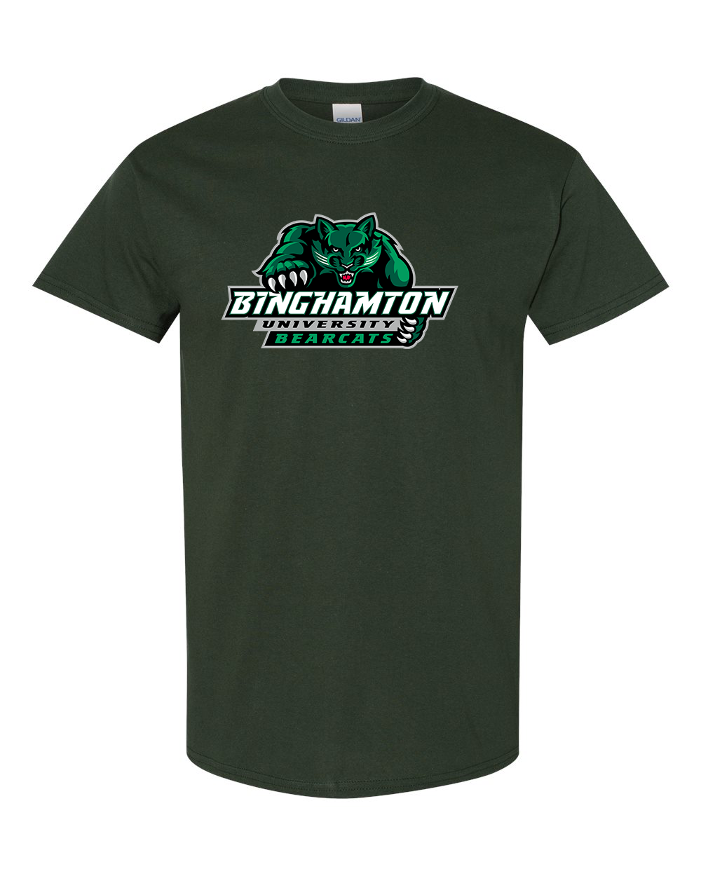 Men's Binghamton Bearcats Gildan Heavy Cotton T-Shirt