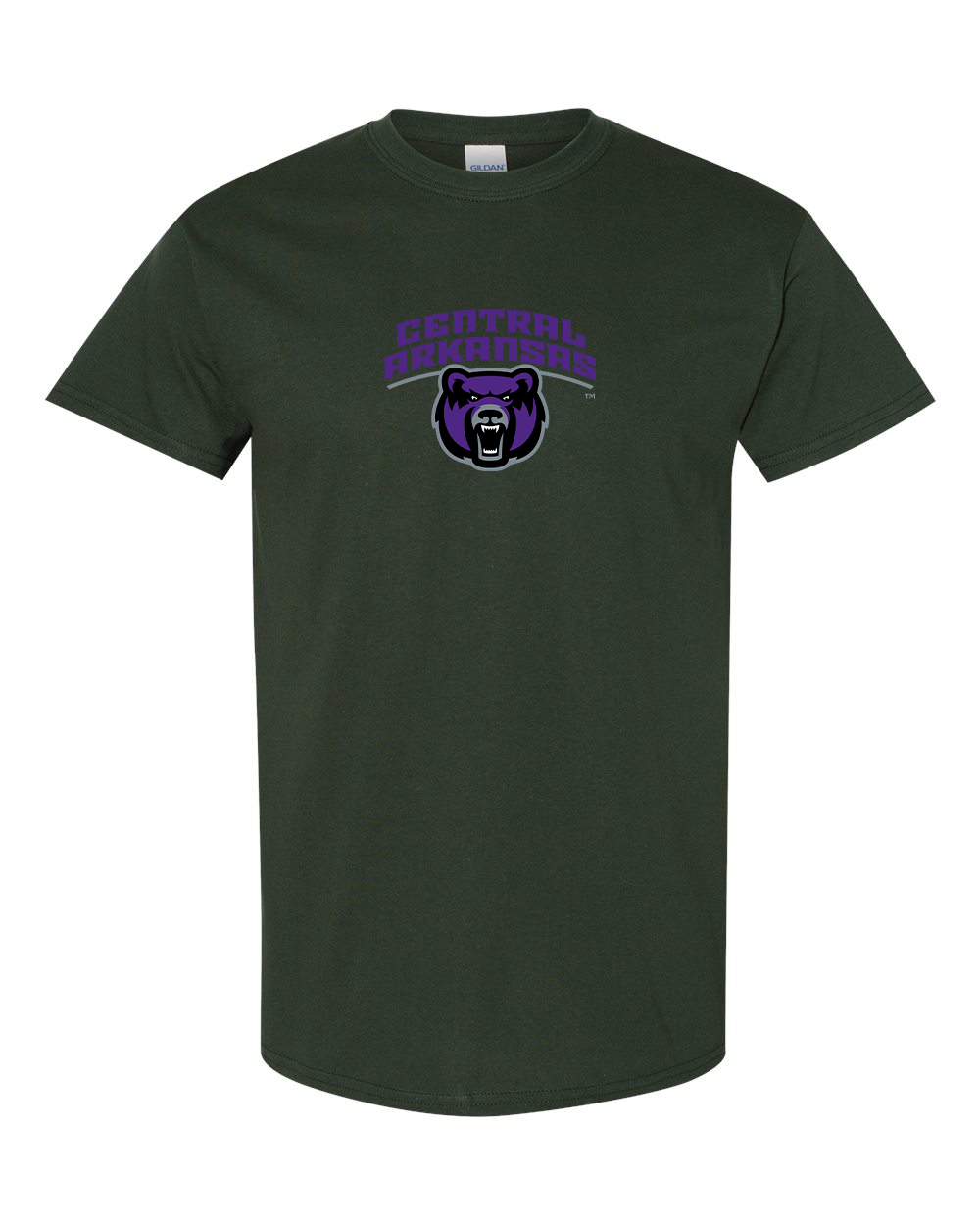 Men's Central Arkansas Bears Gildan Heavy Cotton T-Shirt