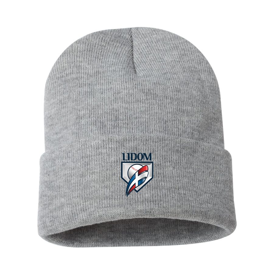 Lidom Logo Beanie Hat