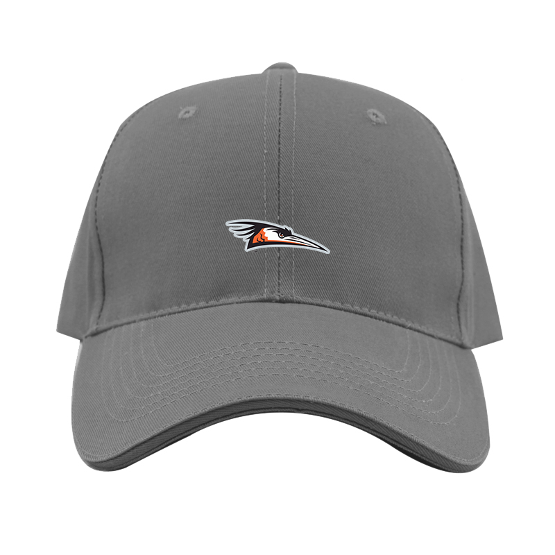 Delmarva Shorebirds Logo Dad Baseball Cap Hat