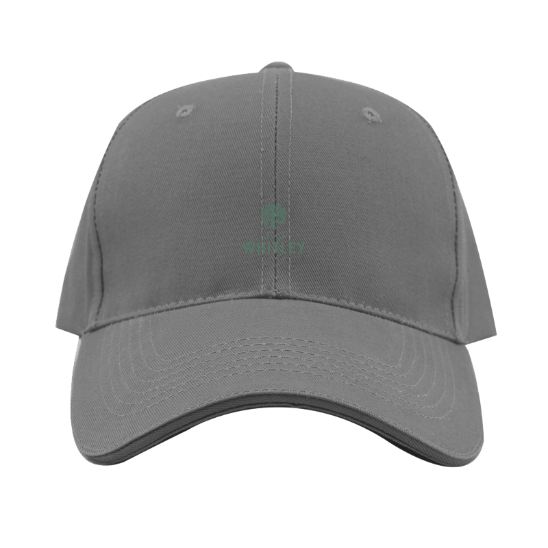 JJ Whitley Logo Dad Baseball Cap Hat