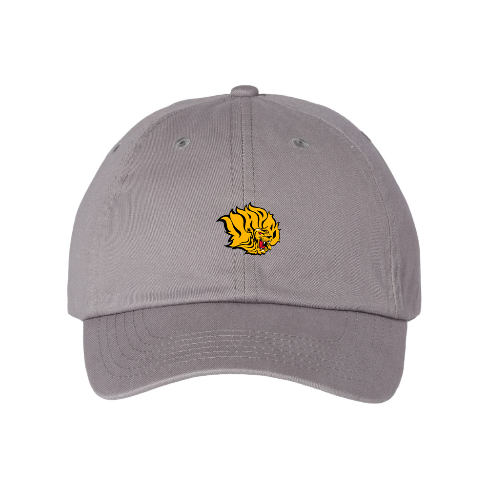 Arkansas PB Golden Lions Valucap Adult Bio-Washed Classic Dad Hat