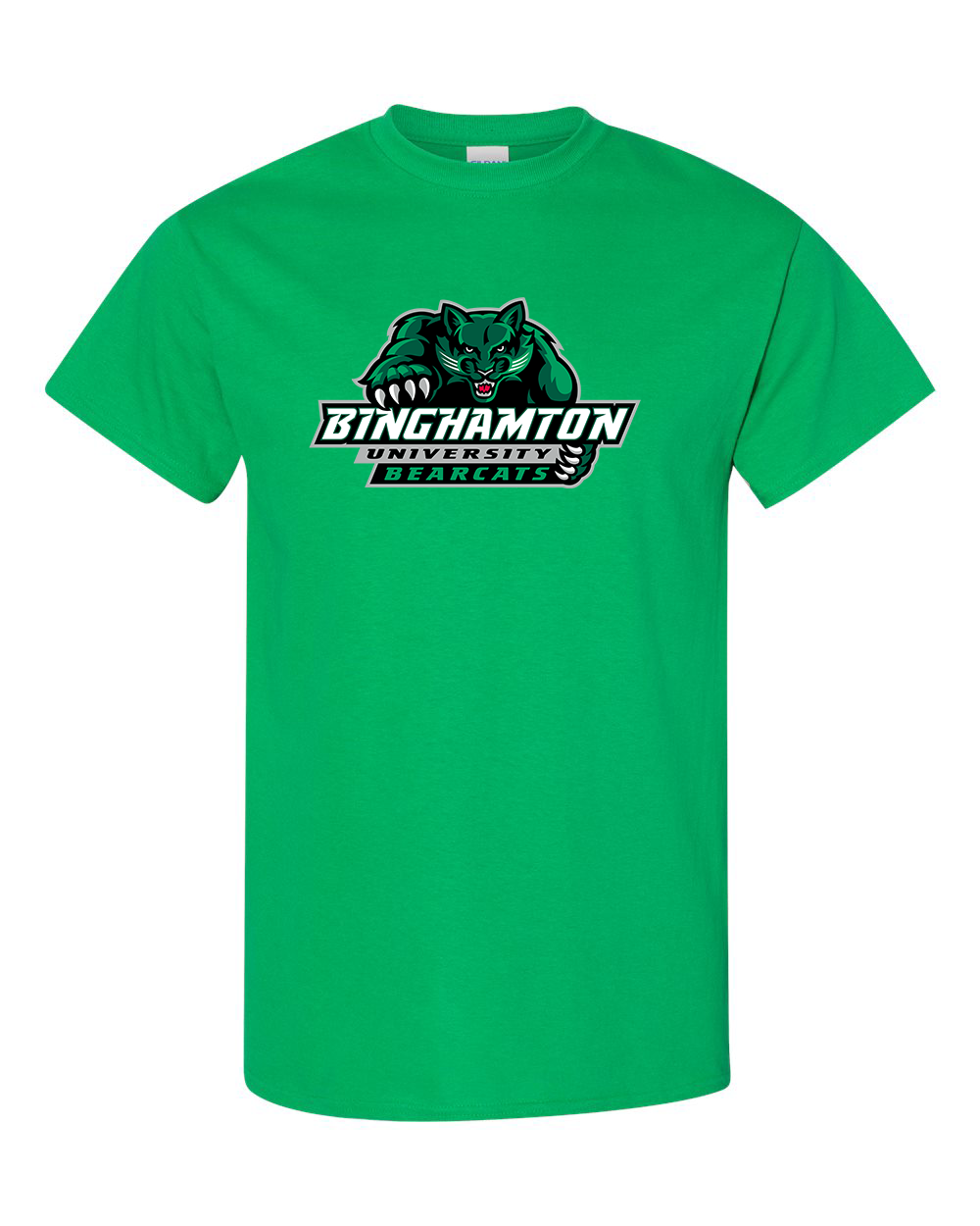 Men's Binghamton Bearcats Gildan Heavy Cotton T-Shirt