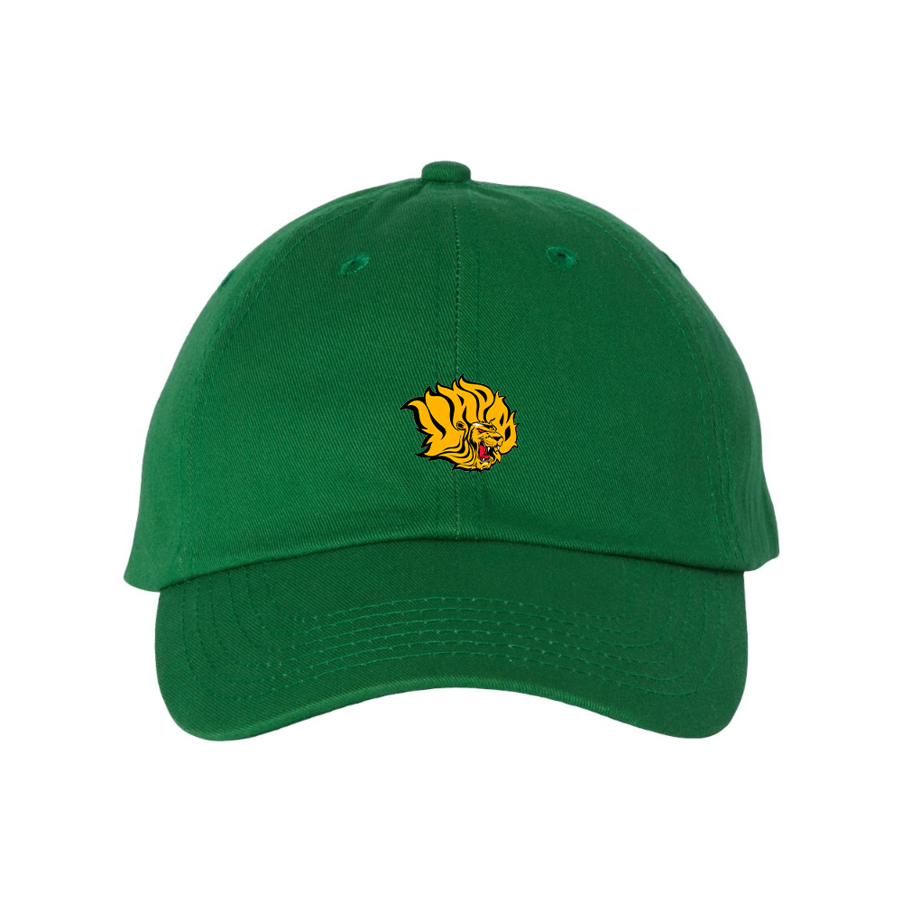 Arkansas PB Golden Lions Valucap Adult Bio-Washed Classic Dad Hat