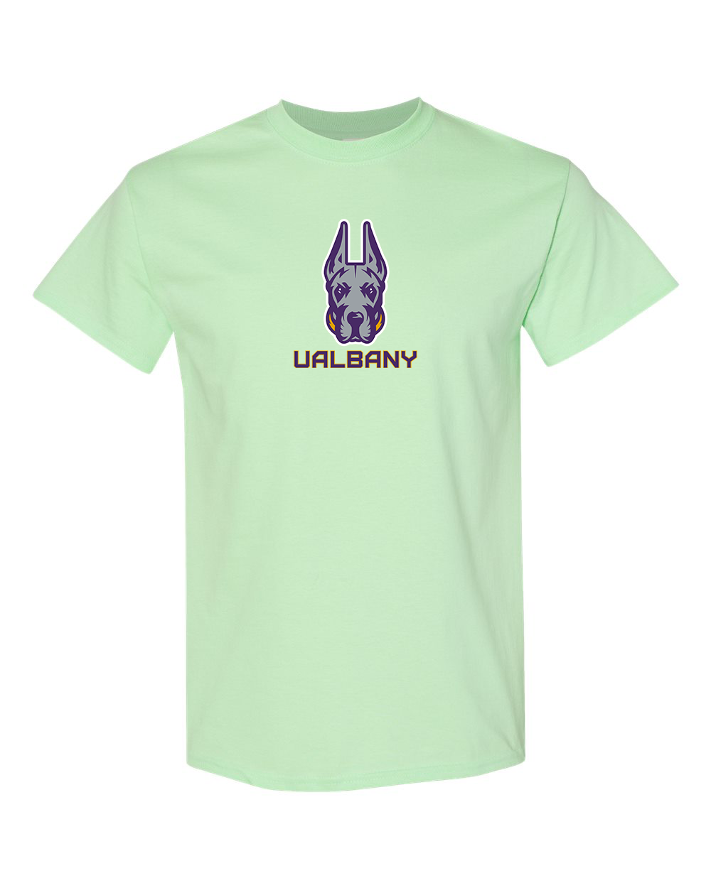 Men's Albany Great Danes Gildan Heavy Cotton T-Shirt