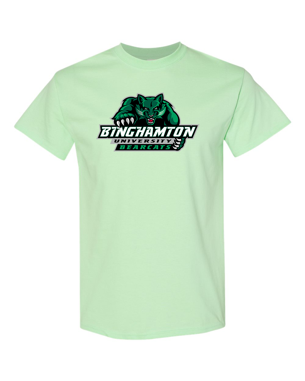 Men's Binghamton Bearcats Gildan Heavy Cotton T-Shirt