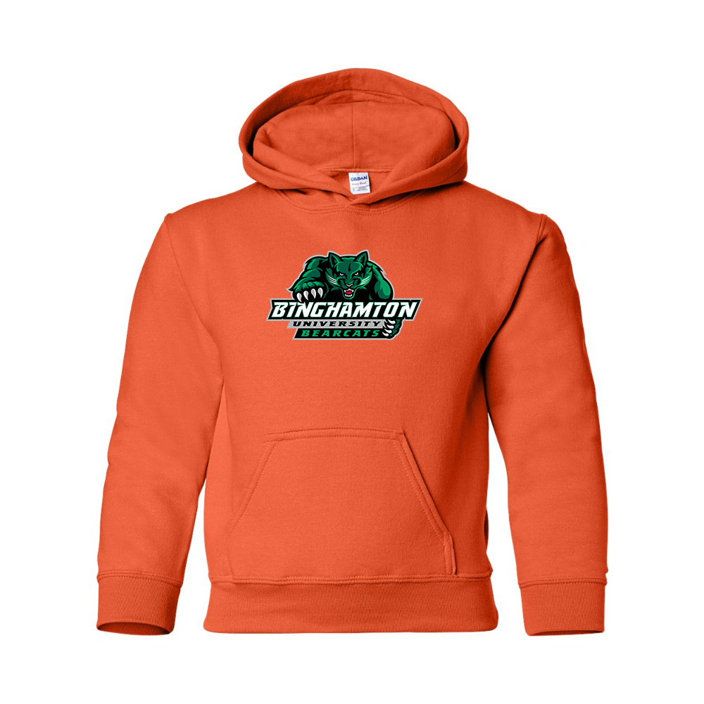 Youth Binghamton Bearcats Gildan Heavy Blend Hooded Sweatshirt