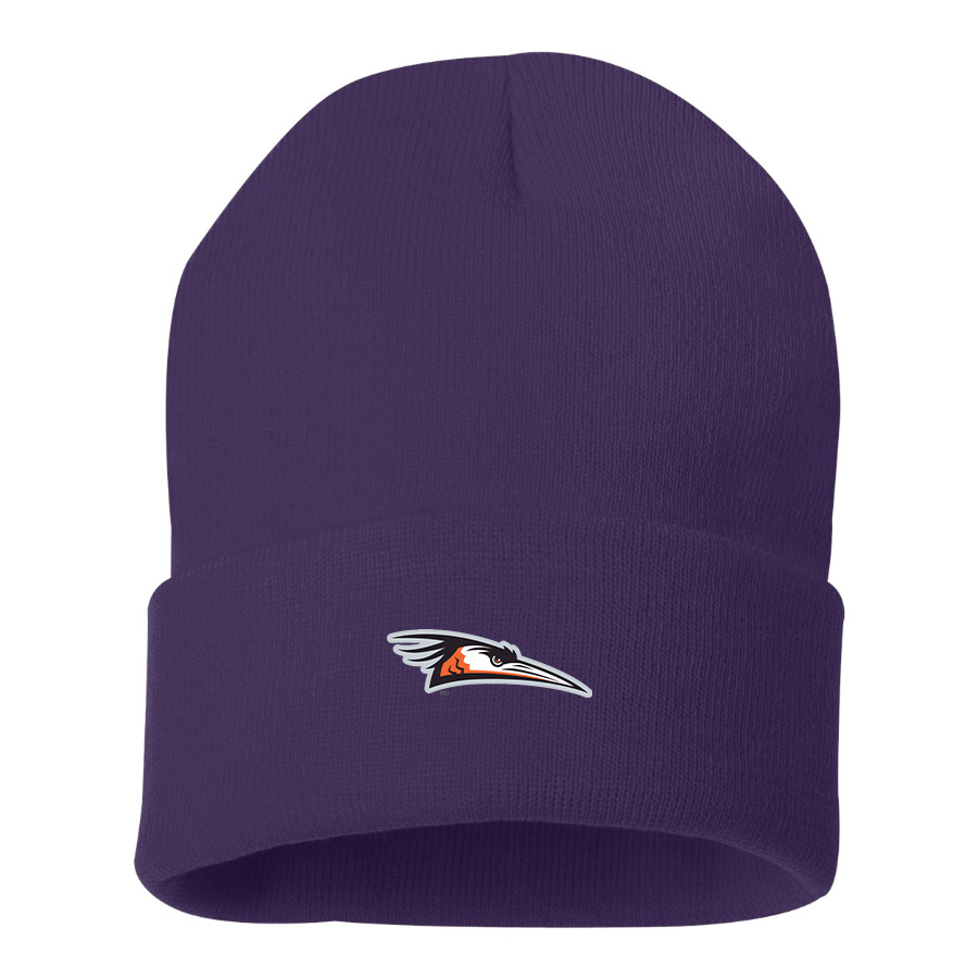 Delmarva Shorebirds Logo Beanie Hat