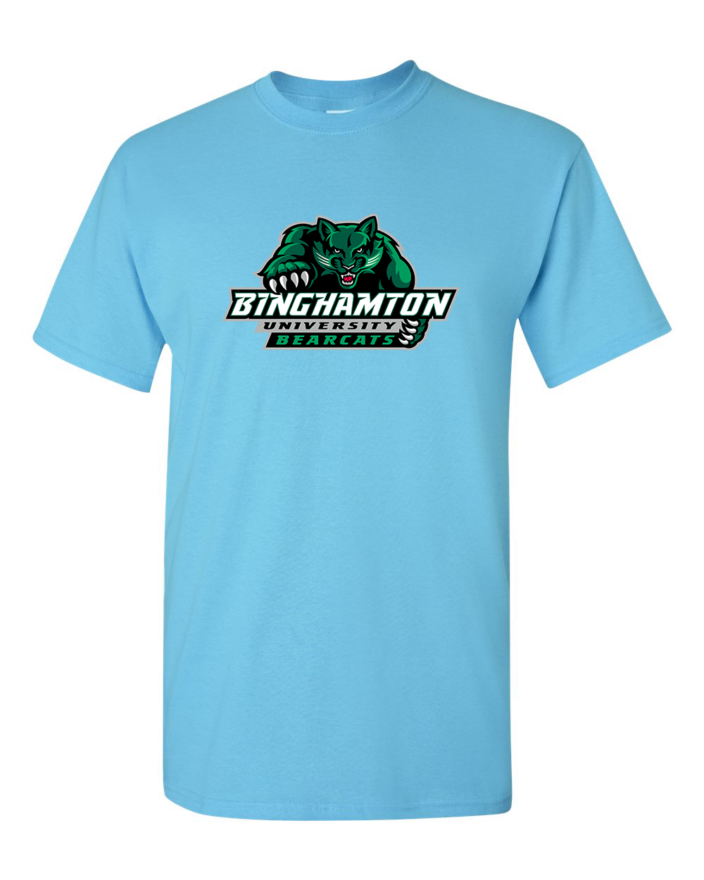 Men's Binghamton Bearcats Gildan Heavy Cotton T-Shirt