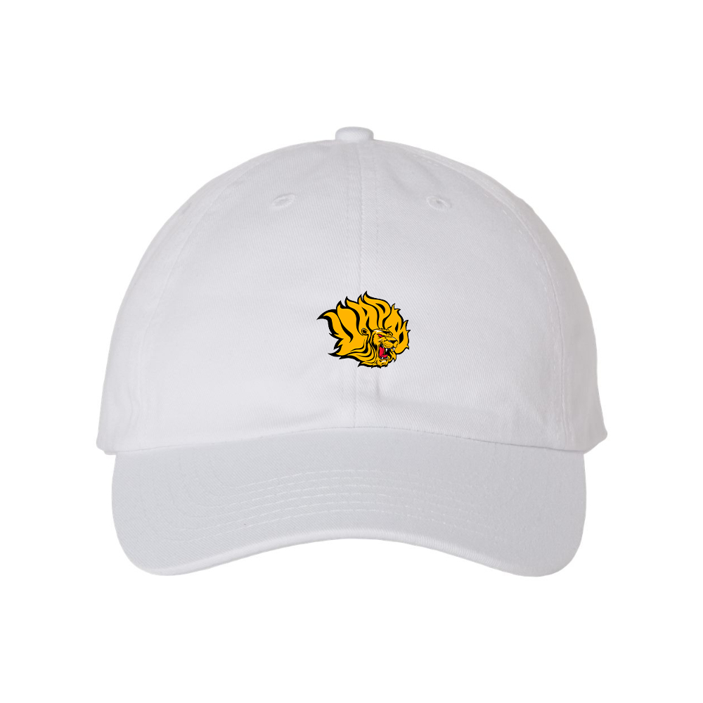 Arkansas PB Golden Lions Valucap Adult Bio-Washed Classic Dad Hat