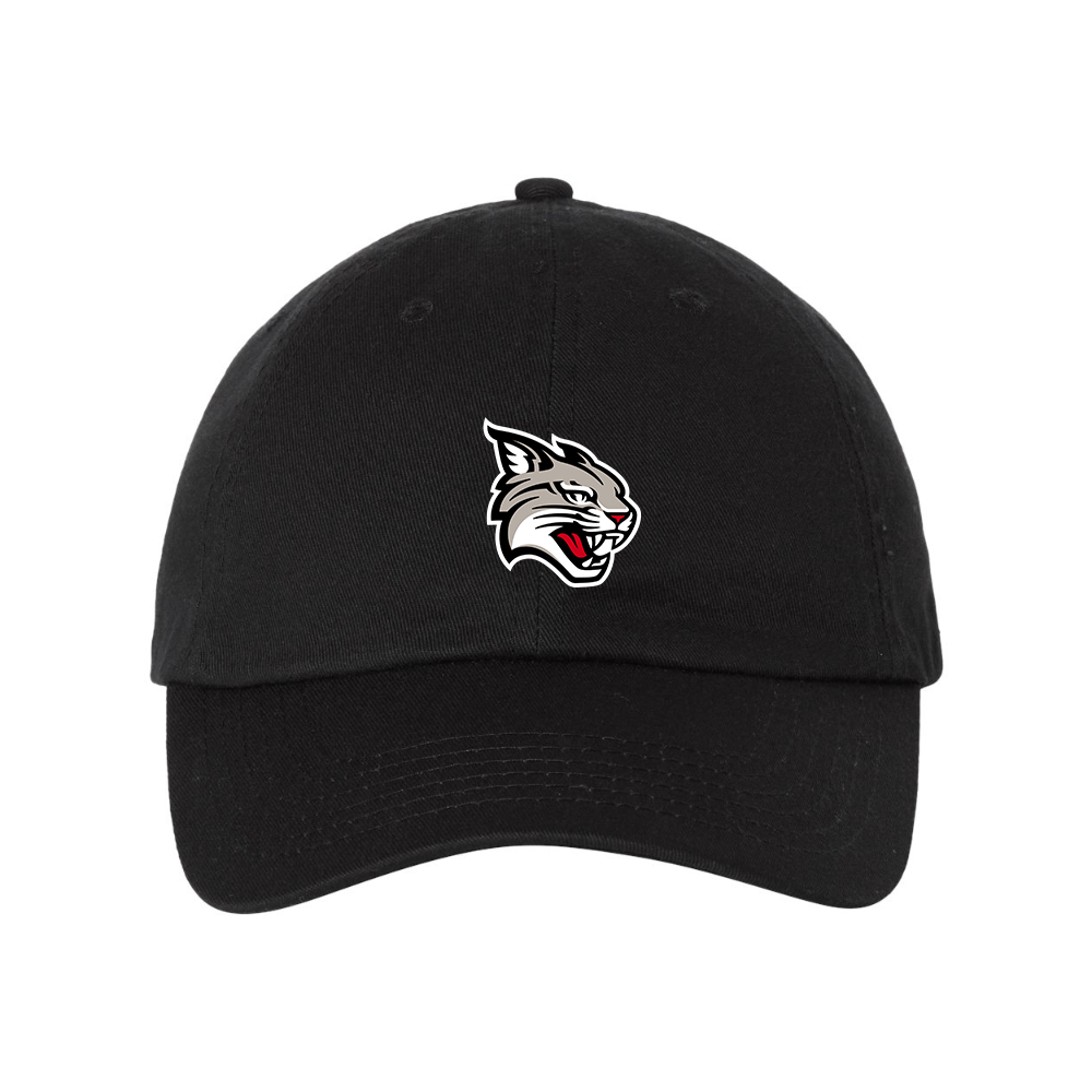 Davidson Wildcats Valucap Adult Bio-Washed Classic Dad Hat