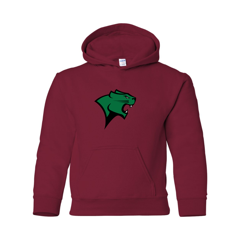 Youth Chicago State Cougars Gildan Heavy Blend Hooded Sweatshirt