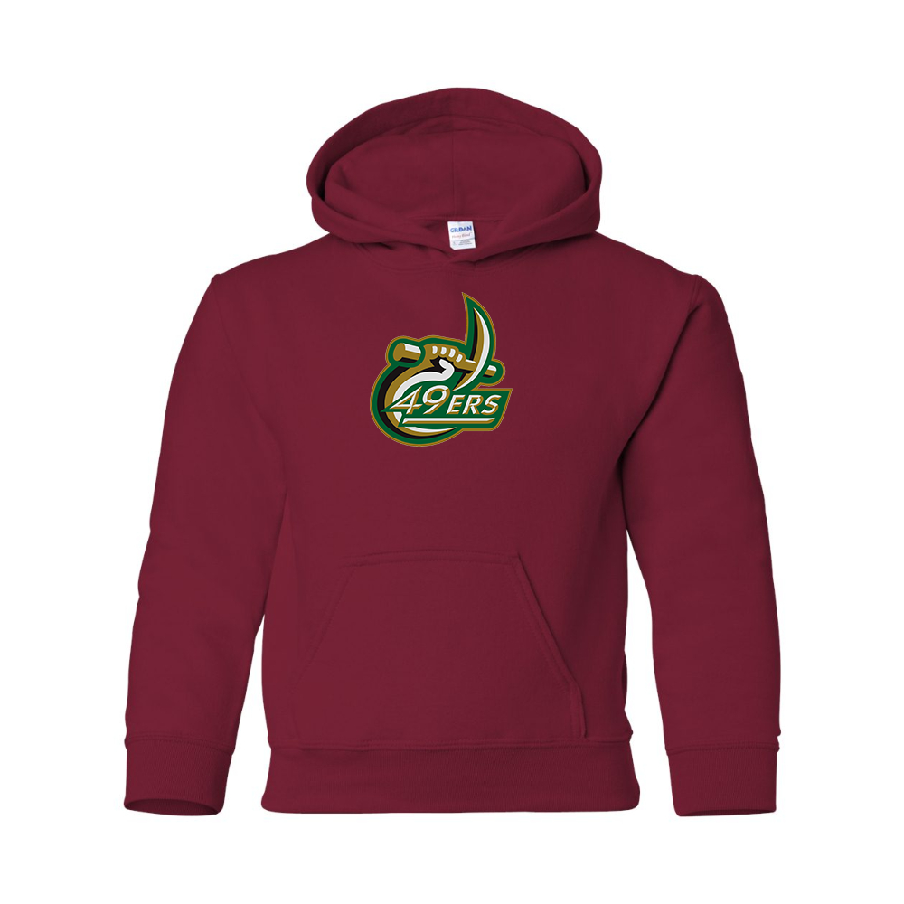 Youth Charlotte 49ers Gildan Heavy Blend Hooded Sweatshirt