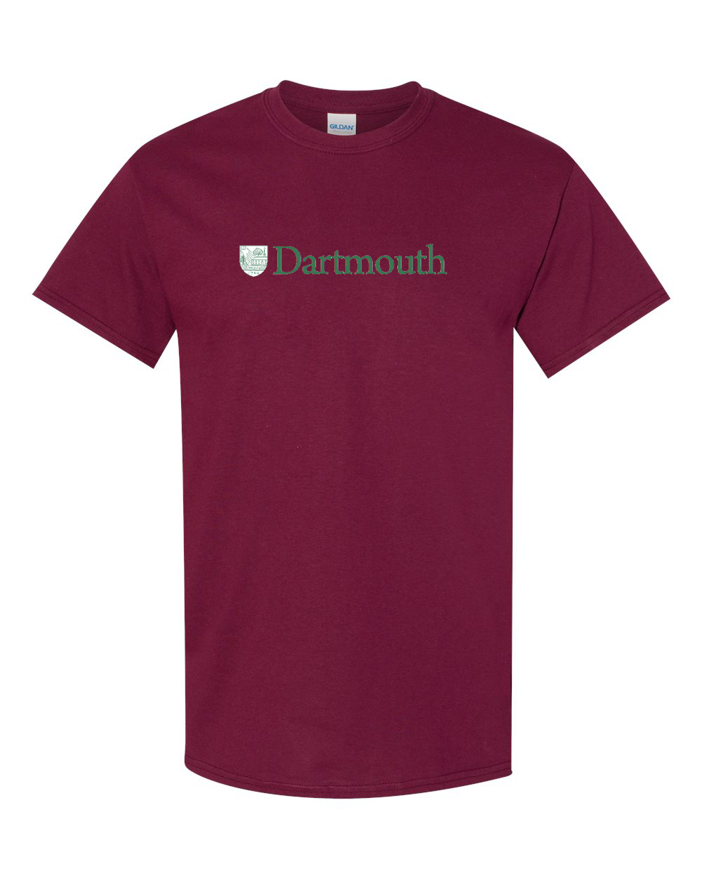 Men's Dartmouth College Gildan Heavy Cotton T-Shirt
