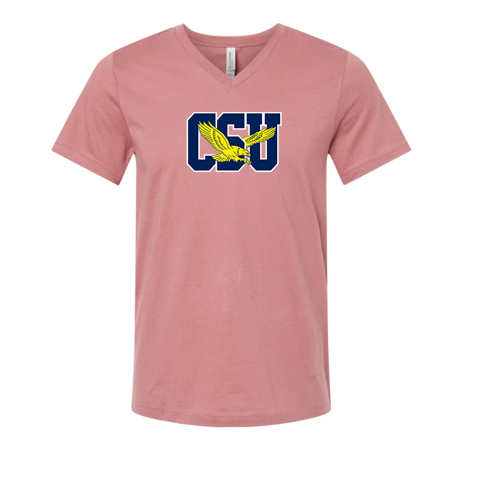 Coppin State Eagles BELLA CANVAS - Jersey V-Neck T-Shirt