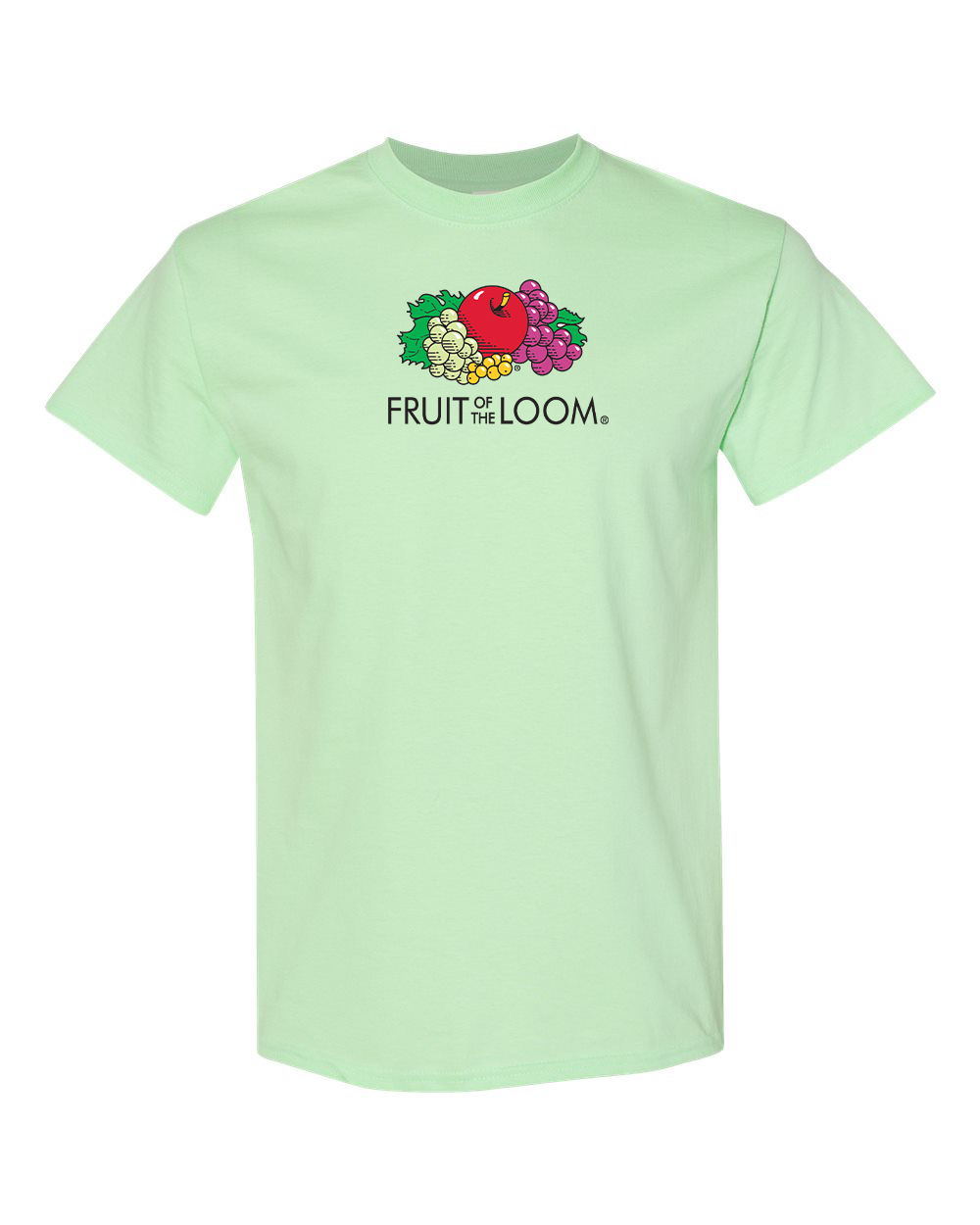 Men's Fruit Of the Loom Gildan Heavy Cotton T-Shirt