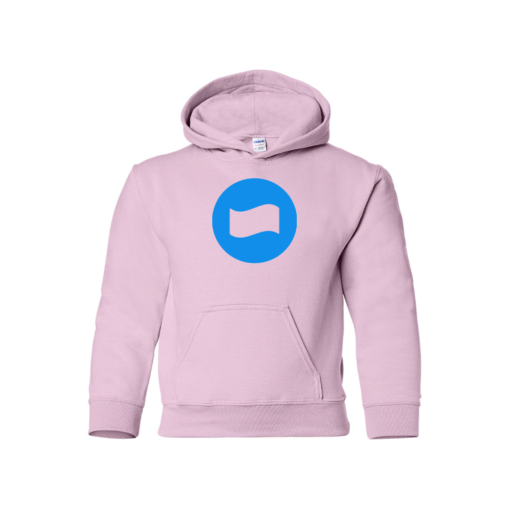 Youth Dana Logo Pullover Hoodie