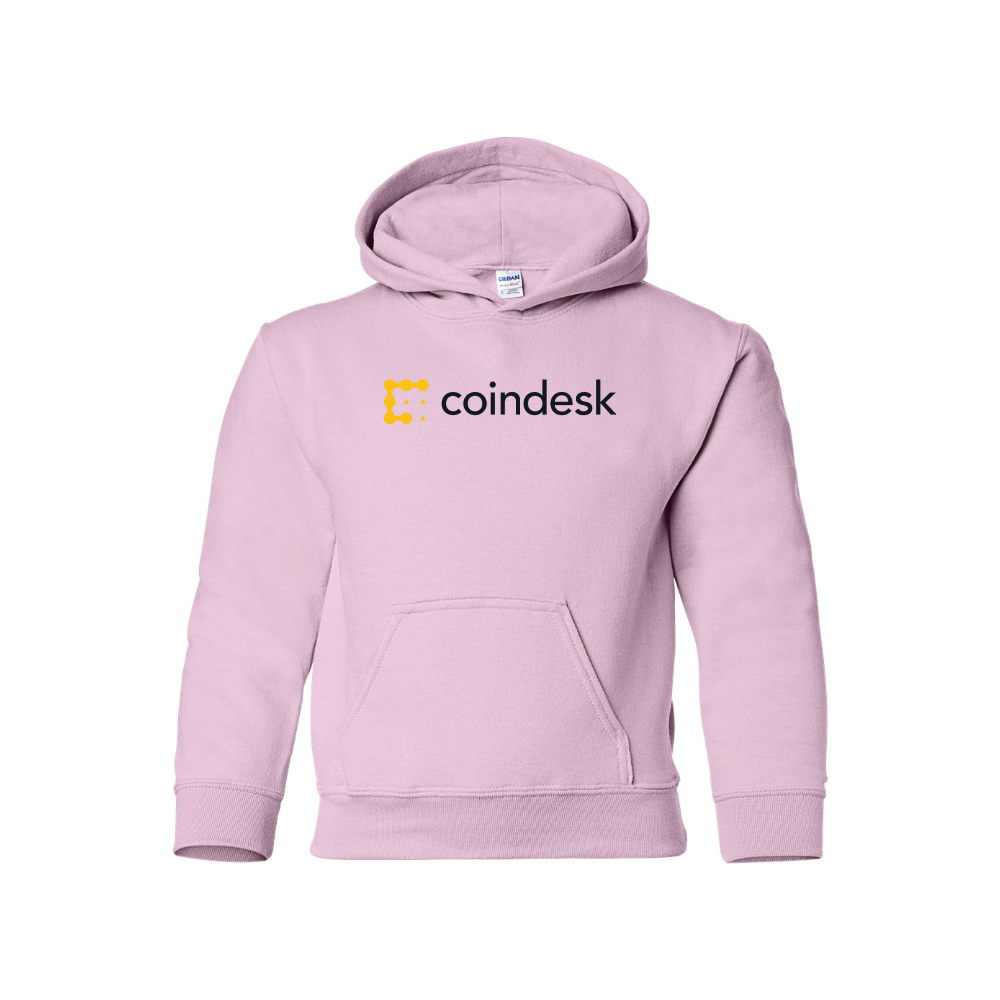 Youth CoinDesk Pullover Hoodie