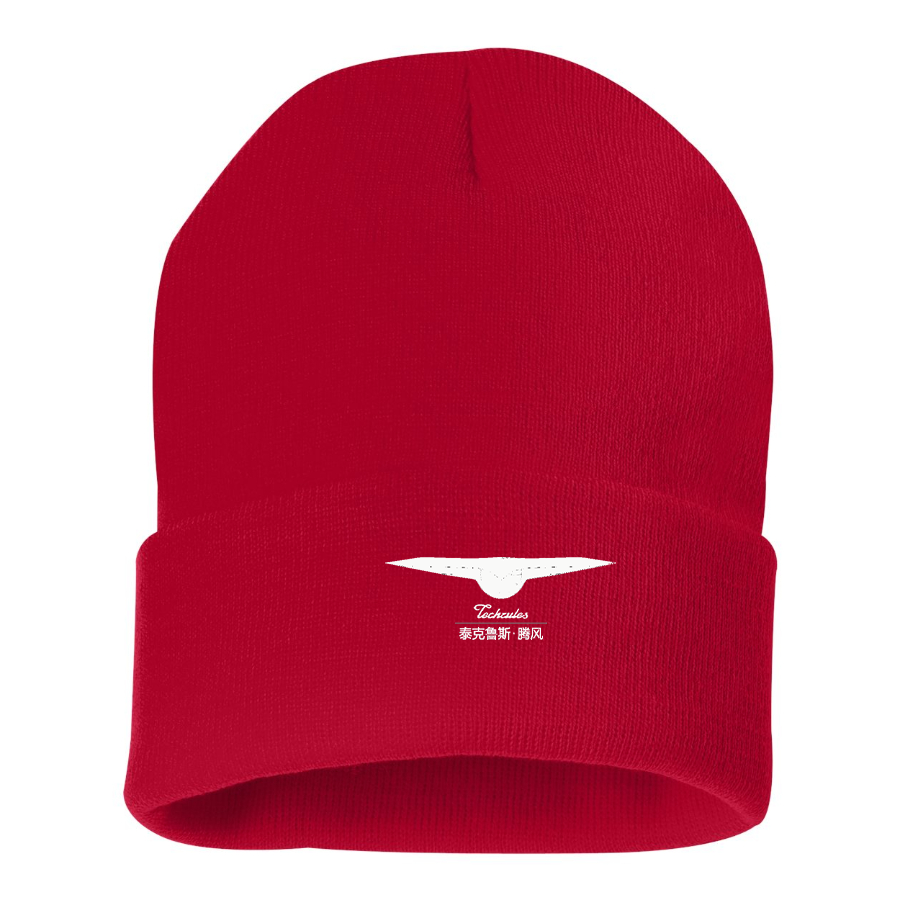 Techrules Logo Beanie Hat