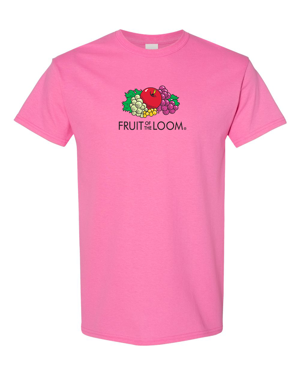 Men's  Fruit Of the Loom Gildan Heavy Cotton T-Shirt
