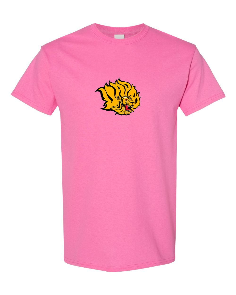 Men's Arkansas PB Golden Lions Gildan Heavy Cotton T-Shirt