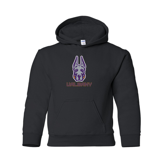 Youth Albany Great Danes Gildan Heavy Blend  Hooded Sweatshirt