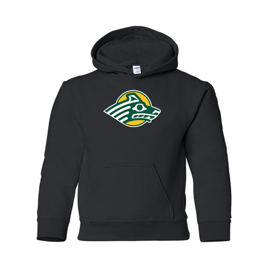 Youth Alaska Anchorage Seawolves  Gildan Heavy Blend  Hooded Sweatshirt