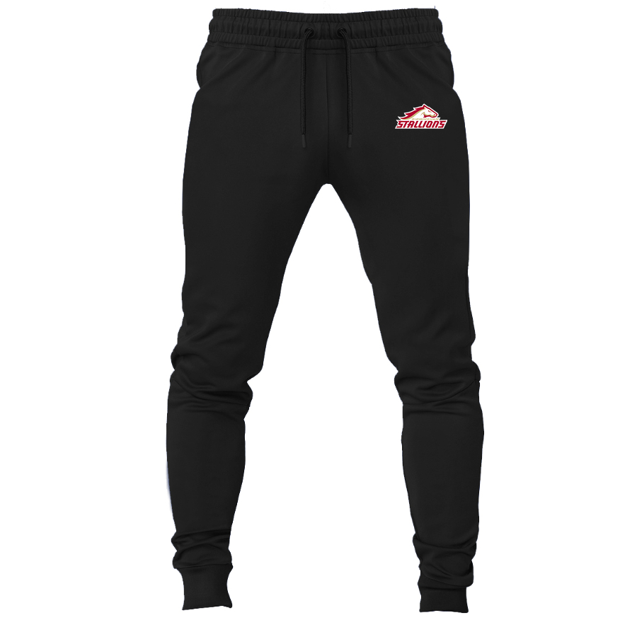 Men's Birmingham Stallions Logo Sweatpants Joggers