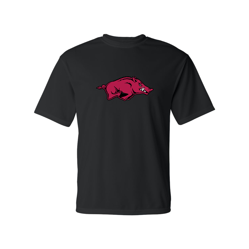 Men's   Arkansas Razorbacks Performance T-Shirt