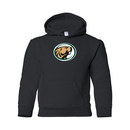 Youth   Bemidji State Beavers Gildan Heavy Blend  Hooded Sweatshirt