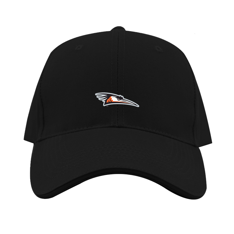Delmarva Shorebirds Logo  Dad Baseball Cap Hat