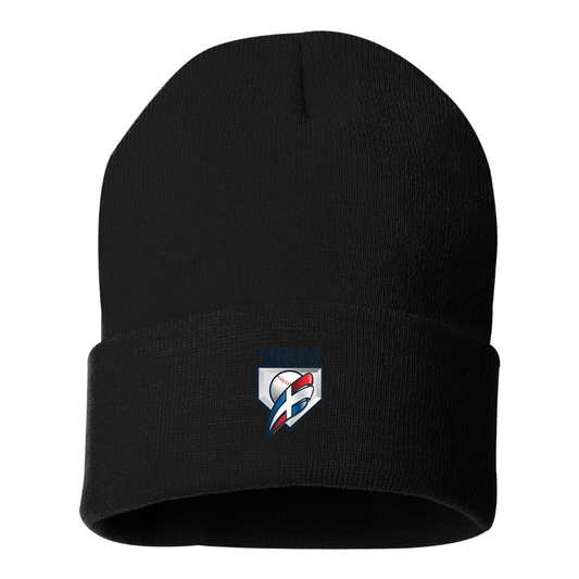 Lidom Logo Beanie Hat
