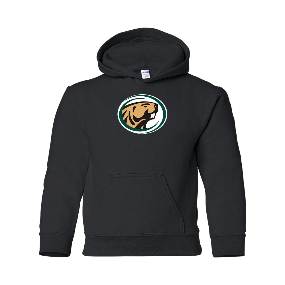 Youth   Bemidji State Beavers Gildan Heavy Blend  Hooded Sweatshirt