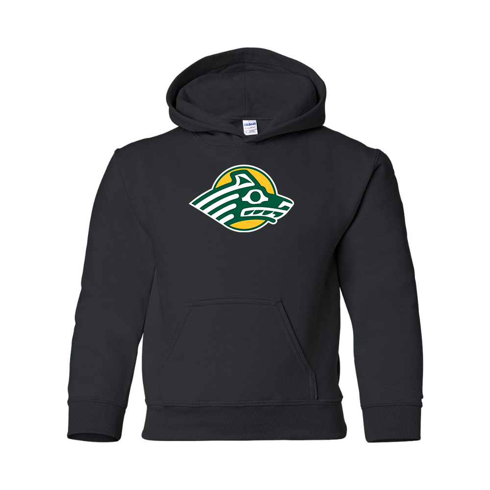Youth Alaska Anchorage Seawolves  Gildan Heavy Blend  Hooded Sweatshirt