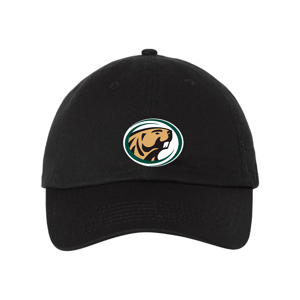 Bemidji State Beavers Valucap Adult Bio-Washed Classic Dad Hat