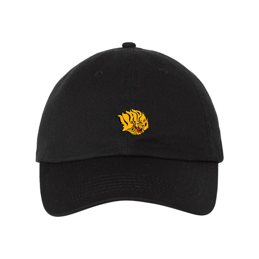 Arkansas PB Golden Lions Valucap Adult Bio-Washed Classic Dad Hat