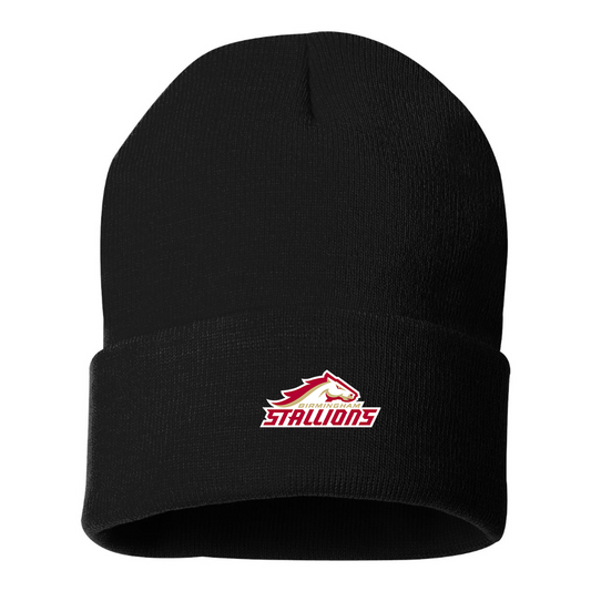 Birmingham Stallions Logo Beanie Hat