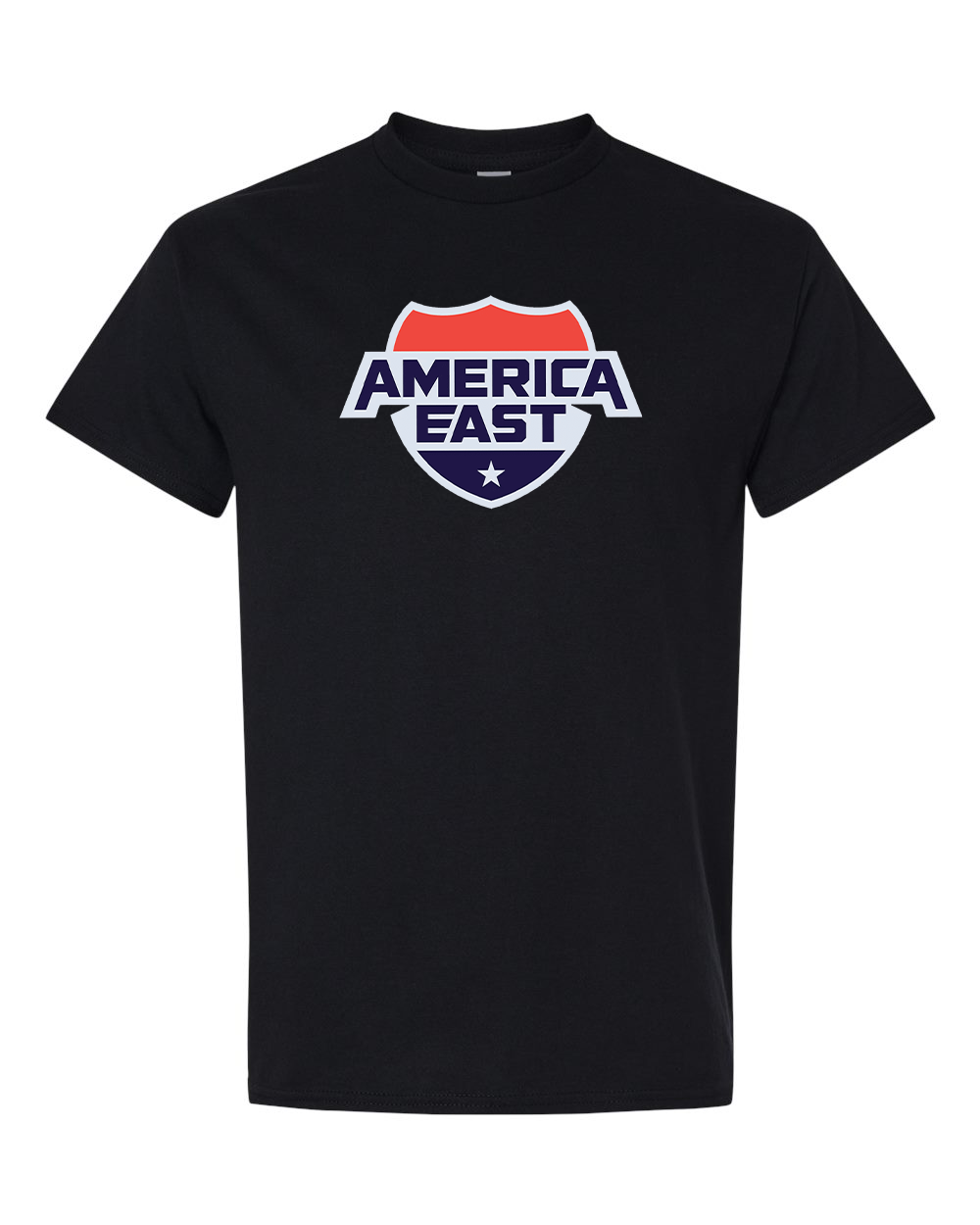 Men's   America East Conference Gildan Heavy Cotton T-Shirt