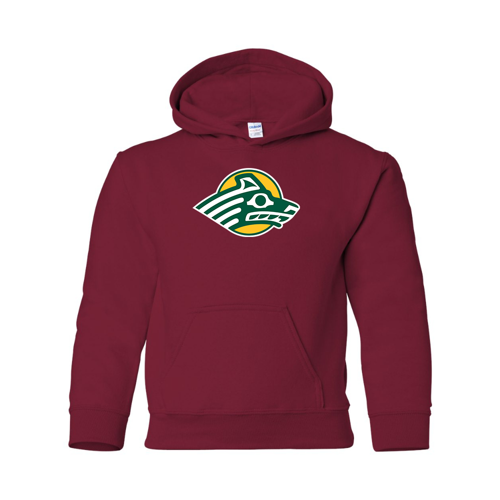 Youth Alaska Anchorage Seawolves  Gildan Heavy Blend  Hooded Sweatshirt