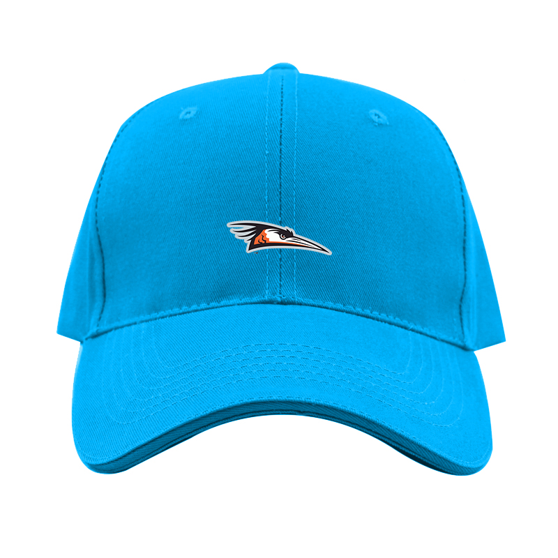Delmarva Shorebirds Logo  Dad Baseball Cap Hat