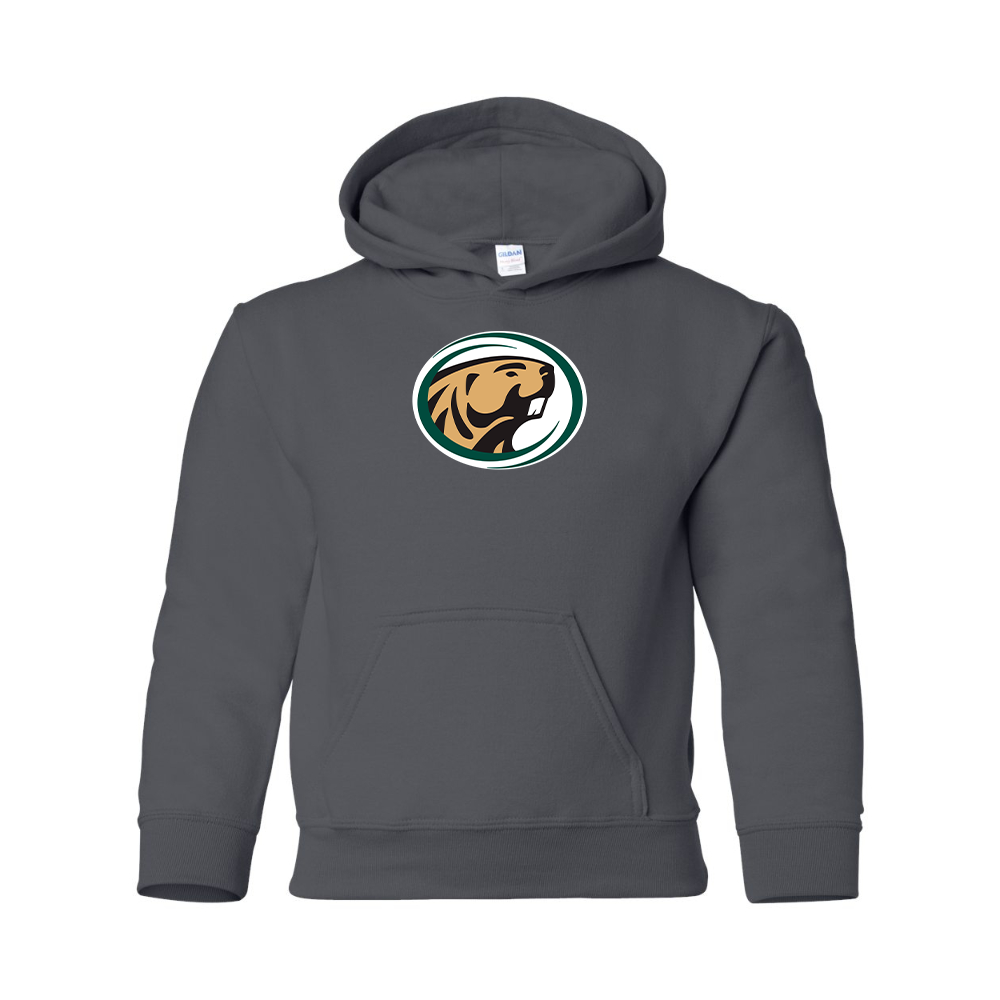 Youth   Bemidji State Beavers Gildan Heavy Blend  Hooded Sweatshirt