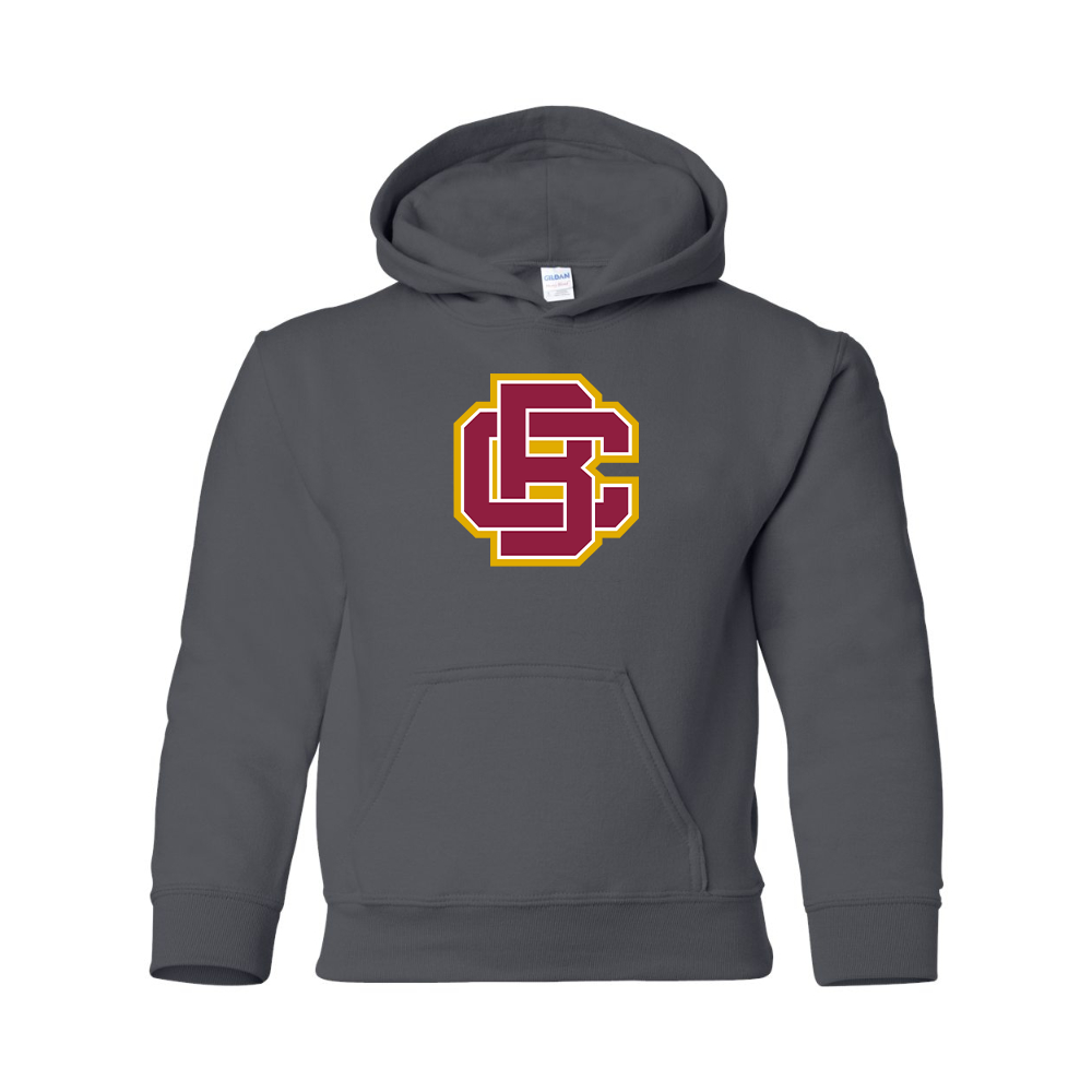 Youth Bethune Cookman Wildcats Gildan Heavy Blend  Hooded Sweatshirt