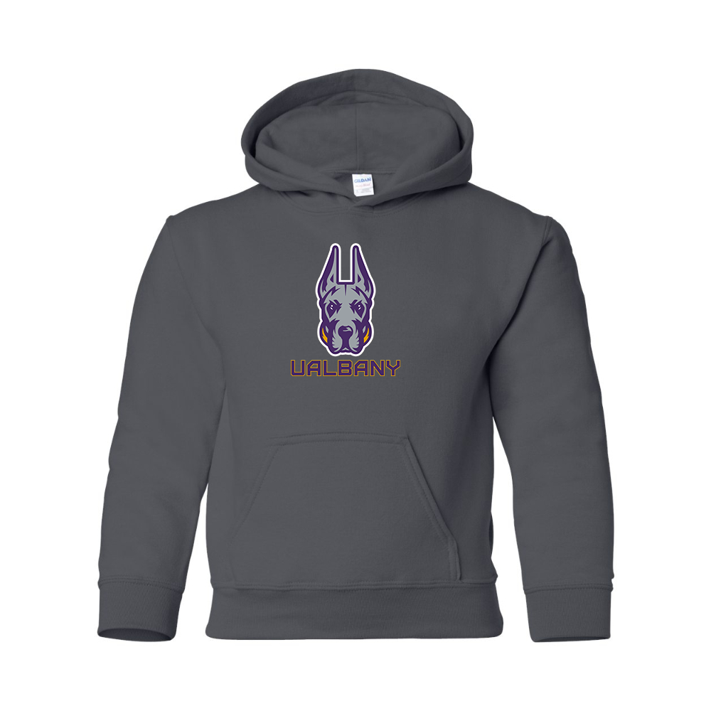 Youth Albany Great Danes Gildan Heavy Blend  Hooded Sweatshirt
