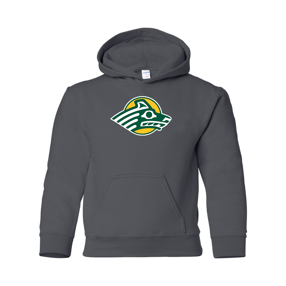 Youth Alaska Anchorage Seawolves  Gildan Heavy Blend  Hooded Sweatshirt