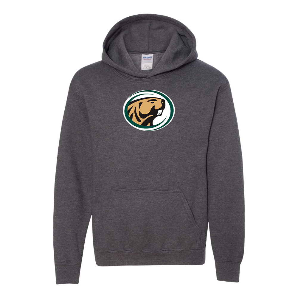 Youth   Bemidji State Beavers Gildan Heavy Blend  Hooded Sweatshirt