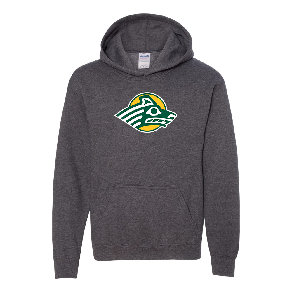Youth Alaska Anchorage Seawolves  Gildan Heavy Blend  Hooded Sweatshirt