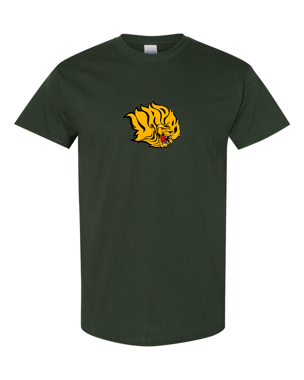 Men's Arkansas PB Golden Lions Gildan Heavy Cotton T-Shirt