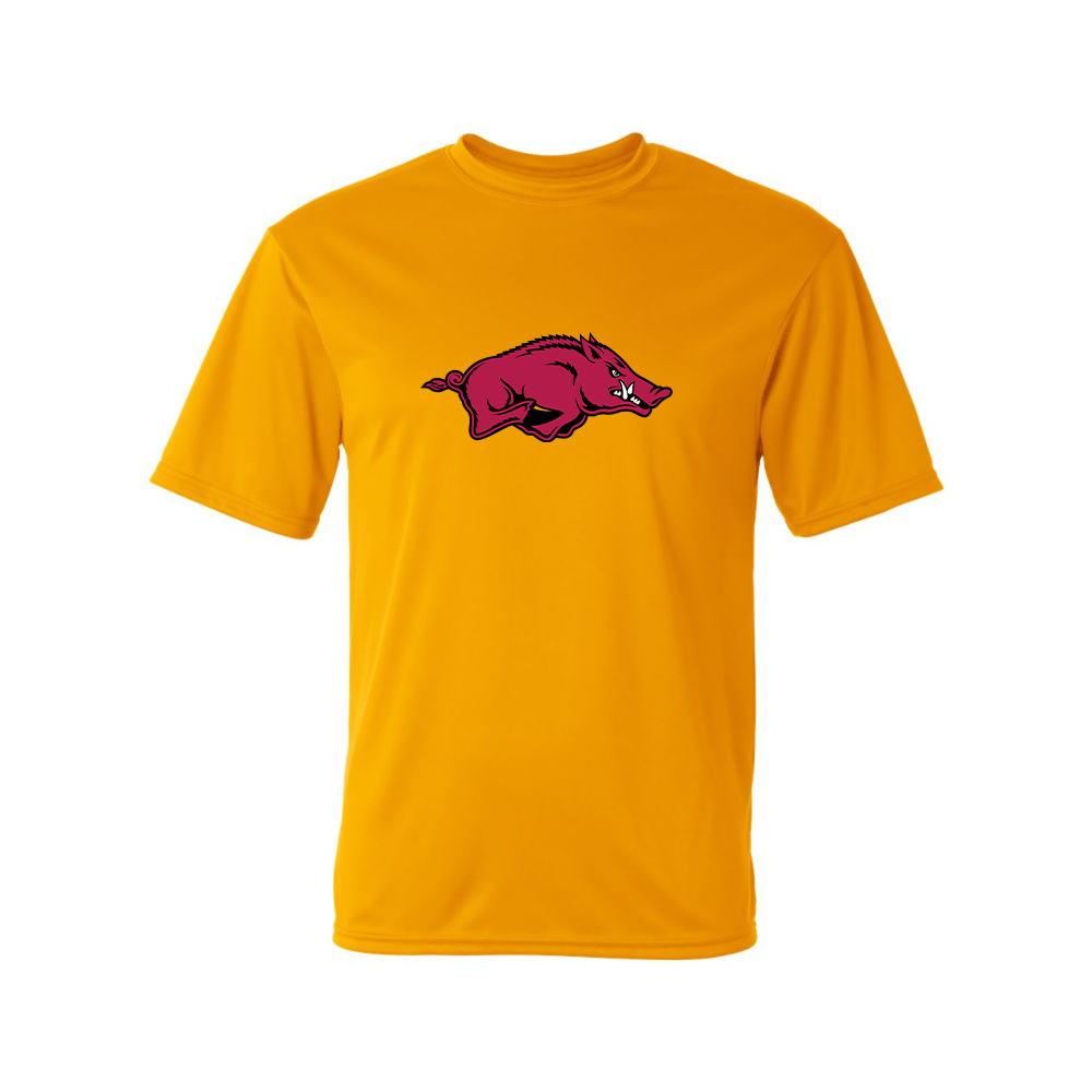 Men's   Arkansas Razorbacks Performance T-Shirt